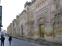 E, Cordoba, Cordoba, Mezquita-Catedral de Cordoba 3, Saxifraga-Tom Heijnen