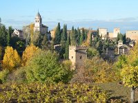 E, Granada, Granada, Alhambra 3, Saxifraga-Tom Heijnen