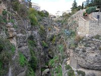 E, Málaga, Ronda, Tajo de Ronda 5, Saxifraga-Tom Heijnen