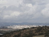 E, Malaga, Ronda 1, Saxifraga-Jan van der Straaten