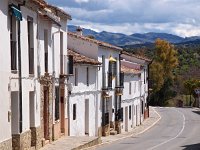 E, Malaga, Ronda 21, Saxifraga-Hans Dekker