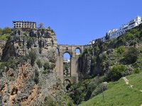 E, Malaga, Ronda, Ronda 1, Saxifraga-Theo Verstrael