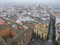 E, Sevilla, Sevilla 3, Saxifraga-Tom Heijnen