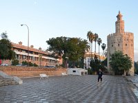 E, Sevilla, Sevilla, Torre del Oro, Saxifraga-Tom Heijnen