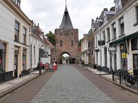 NL, Gelderland, Elburg 1, Saxifraga-Tom Heijnen