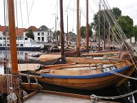 NL, Gelderland, Elburg 2, Saxifraga-Tom Heijnen