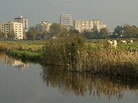 NL, Noord-Brabant, 's-Hertogenbosch, Bossche Broek 3, Saxifraga-Jan van der Straaten