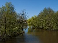 NL, Noord-Brabant, Tilburg, Donge 3, Saxifraga-Jan van der Straaten