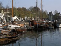 NL, Zeeland, Schouwen-Duivenland, Zierikzee 3, Saxifraga-Jan van der Straaten