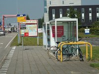 NL, Zeeland, Vlissingen 1, Saxifraga-Jan van der Straaten