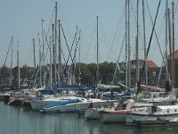 NL, Zeeland, Vlissingen 12, Saxifraga-Jan van der Straaten