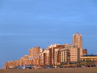 NL, Zuid-Holland, 's-Gravenhage, Scheveningen 4, Saxifraga-Tom Heijnen