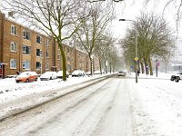 NL, Zuid-Holland, Delft, Wippolder 2, Saxifraga-Bart Vastenhouw