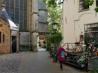 NL, Zuid-Holland, Gouda, Sint-Janskerk 1, Saxifraga-Tom Heijnen