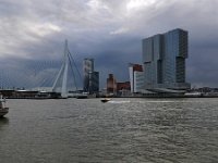 NL, Zuid-Holland, Rotterdam, Erasmusbrug & Holland Amerikakade 1, Saxifraga-Tom Heijnen