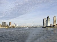 NL, Zuid-Holland, Rotterdam, Erasmusbrug & Holland Amerikakade 2, Saxifraga-Tom Heijnen