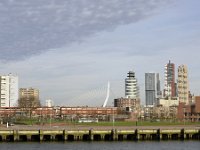 NL, Zuid-Holland, Rotterdam, Erasmusbrug 1, Saxifraga-Tom Heijnen