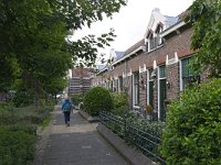 NL, Zuid-Holland, Schiedam, Fabristraat 1, Saxifraga-Tom Heijnen