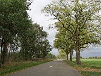 NL, Noord-Brabant, Heeze-Leende, Strijperdijk near De Putberg 1, Saxifraga-Tom Heijnen