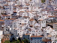 E, Malaga, Casares 2, Saxifraga-Hans Dekker