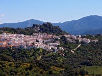 E, Malaga, Gaucin 2, Saxifraga-Hans Dekker.