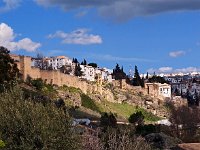 E, Malaga, Ronda 1, Saxifraga-Hans Dekker