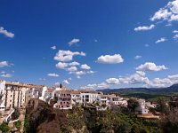 E, Malaga, Ronda 20, Saxifraga-Hans Dekker