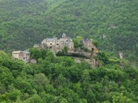 F, Aveyron, Nant, Cantobre 1, Saxifraga-Dirk Hilbers