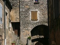 F, Aveyron, St-Eulalie-de-Cernon, Saxifraga-Dirk Hilbers