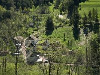 F, Isere, Gresse-en-Vercors, Le Pellas 1, Saxifraga-Jan van der Straaten