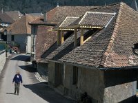 F, Isere, Saint-Michel-les-Portes 1, Saxifraga-Jan van der Straaten