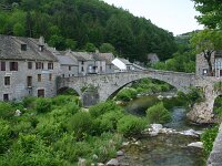 F, Lozere, Pont-de-Montvert-Sud-Mont-Lozère, Pont-de-Monvert 1, Saxifraga-Dirk Hilbers