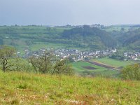 D, Rheinland-Pfalz, Manderscheid, Meerfeld 1, Saxifraga-Tom Heijnen