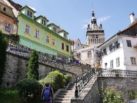 RO, Mures, Sighisoara 1, Saxifraga-Tom Heijnen