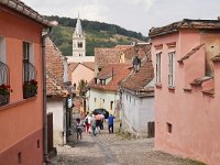 RO, Mures, Sighisoara 3, Saxifraga-Tom Heijnen