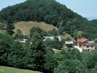 SLO, Stajerska, Ptuj, Medgore 1, Saxifraga-Jan van der Straaten