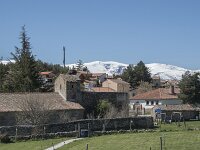 E, Avila, Navarradonda de Gredos 80, Saxifraga-Willem van Kruijsbergen