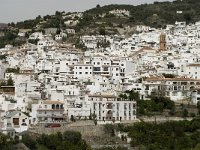 E, Granada, Competa 1, Saxifraga-Jan van der Straaten