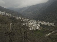 E, Granada, Trevelez 6, Saxifraga-Willem van Kruijsbergen