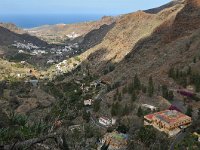 E, Las Palmas, Agaete, Valle de Agaete 8, Saxifraga-Tom Heijnen