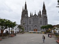 E, Las Palmas, Arucas, Parroquia de San Juan Bautista de Arucas, Saxifraga-Tom Heijnen