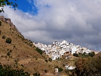 E, Malaga, Alora 10, Saxifraga-Hans Dekker