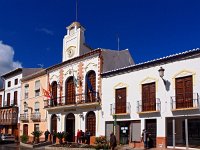 E, Malaga, Alora 5, Saxifraga-Hans Dekker