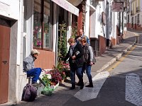 E, Malaga, Alora 7, Saxifraga-Hans Dekker