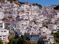 E, Malaga, Casares 1, Saxifraga-Hans Dekker