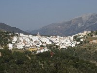 E, Malaga, Cortes de la Frontera 1, Saxifraga-Willem van Kruijsbergen