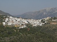 E, Malaga, Cortes de la Frontera 3, Saxifraga-Jan van der Straaten