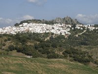 E, Malaga, Gaucin 2, Saxifraga-Willem van Kruijsbergen