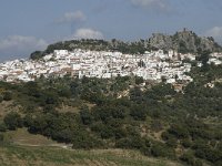 E, Malaga, Gaucin 5, Saxifraga-Willem van Kruijsbergen