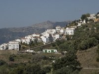 E, Malaga, Jubrique 3, Saxifraga-Jan van der Straaten